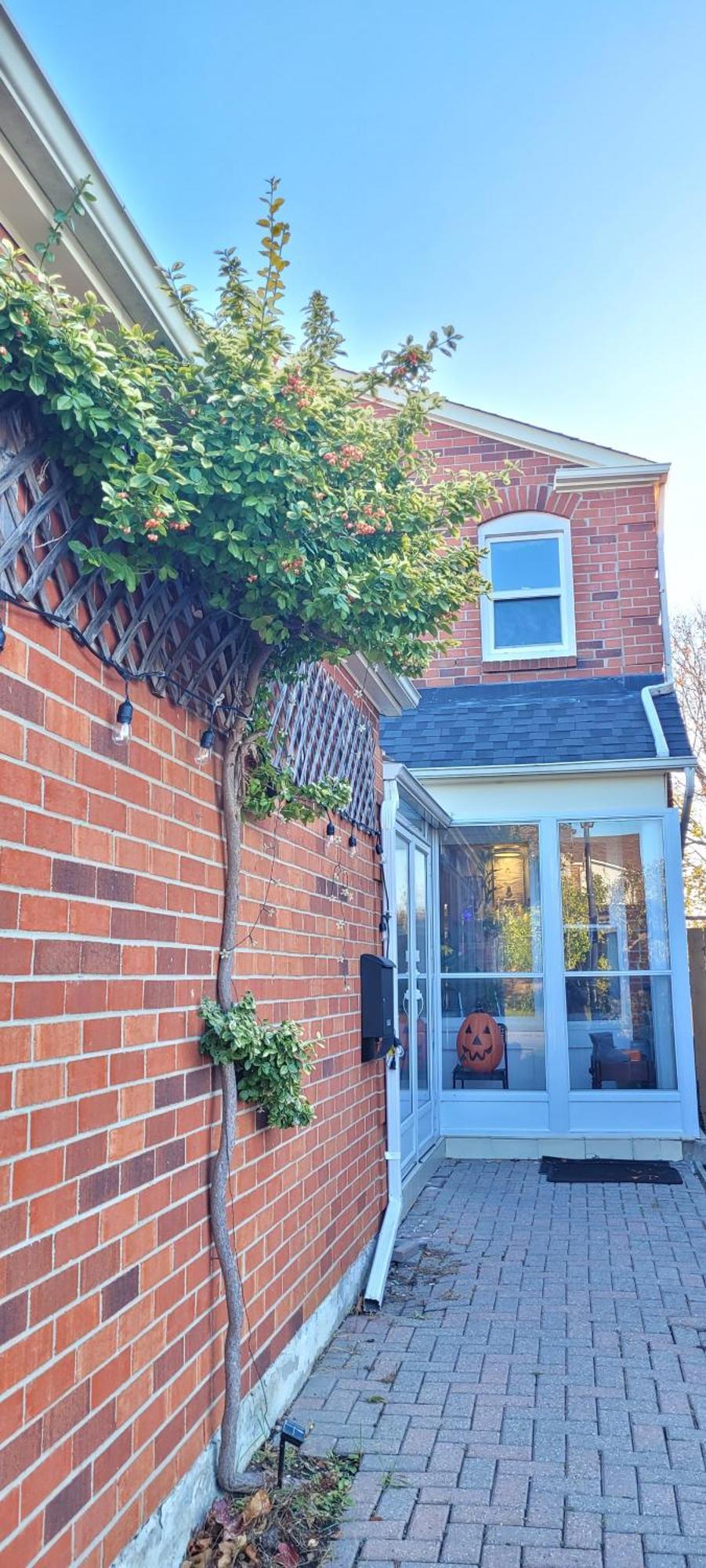 Spacious Comfy Room In Toronto Exterior photo